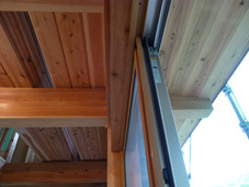 P1010211s.jpg